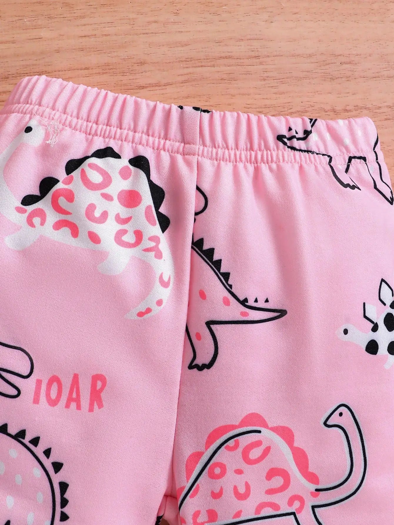 Baby Girl Dinosaur Hoodie + Pants Set