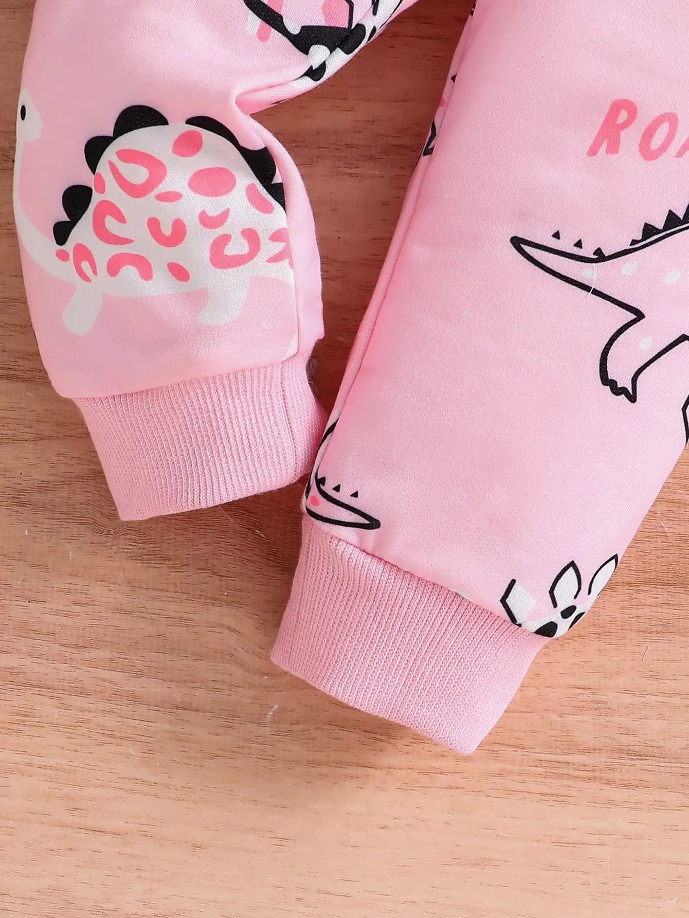 Baby Girl Dinosaur Hoodie + Pants Set