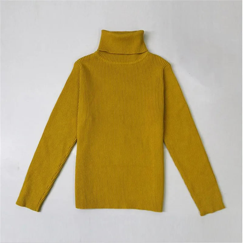 Pure Cotton Girls Turtleneck Sweater