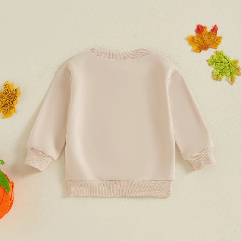 Little Boy and Girl Halloween Pumpkin Embroidery Sweatshirt