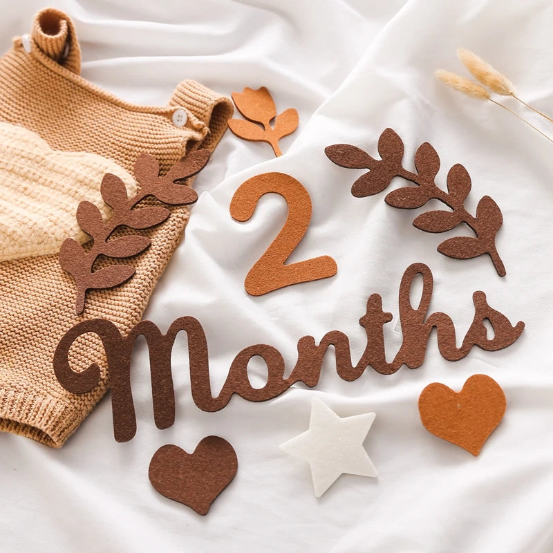 Baby Month Milestone Card - Newborn Photography Prop