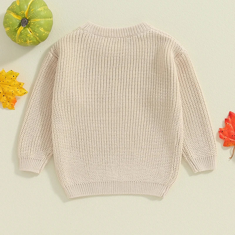 Baby Girls Boys Halloween Sweater Pumpkin Ghost Spider Letter Embroidered Long Sleeve Pullovers Fall Tops