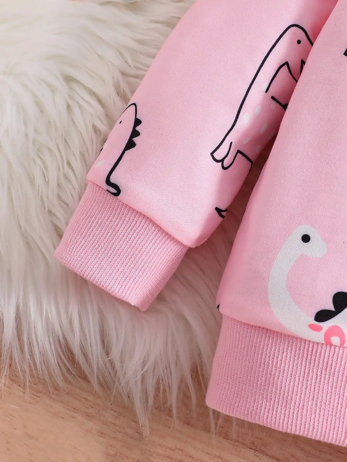 Baby Girl Dinosaur Hoodie + Pants Set